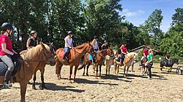 Ferien- und Reiterhof Fink